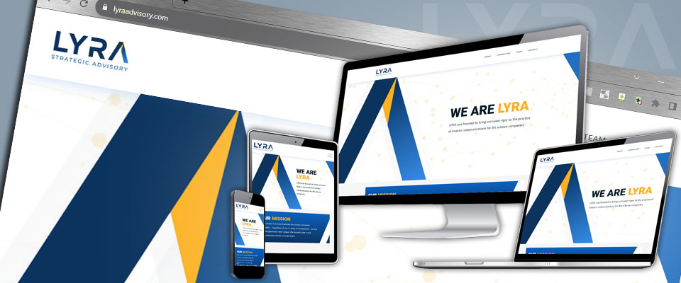 Lyra Strategic Advisory responsive screen resolution demo